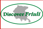 Discover Friuli Guides