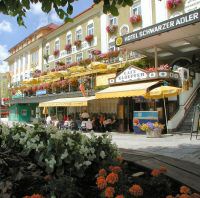 Hotel Schwarzer Adler 4*